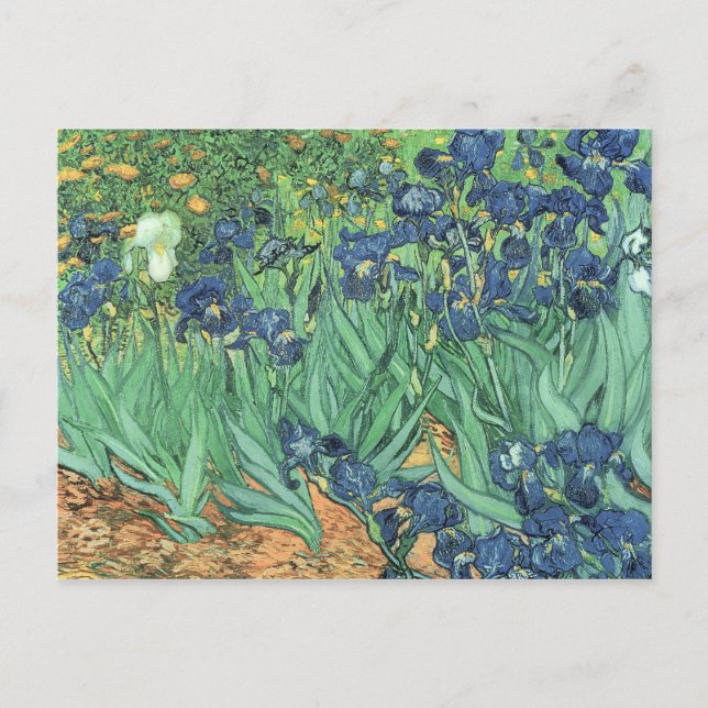 Carte Postale Vincent van Gogh | Irises, 1889 (Devant)