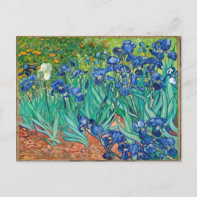 Carte Postale VINCENT VAN GOGH - Irises 1889 (Devant)