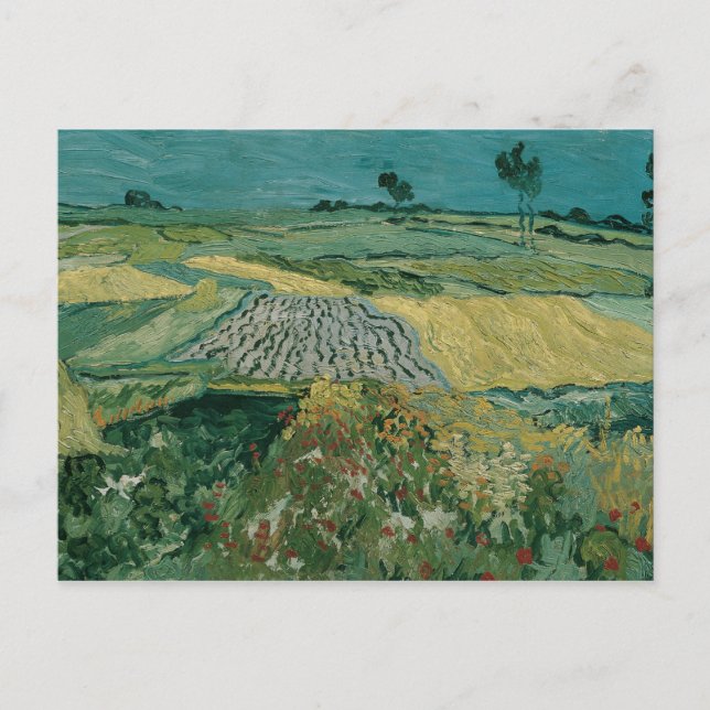 Carte Postale Vincent van Gogh - La plaine d'Auvers (Devant)