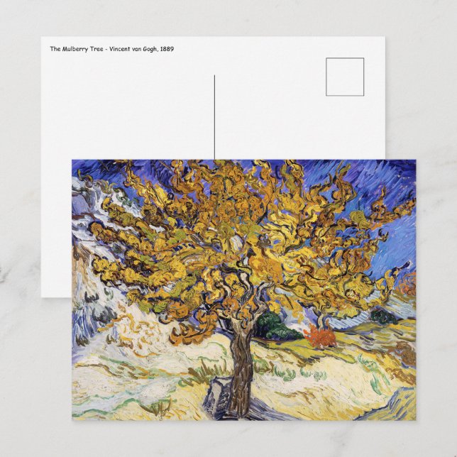 Carte Postale Vincent van Gogh - Le Mûrier (Devant / Derrière)