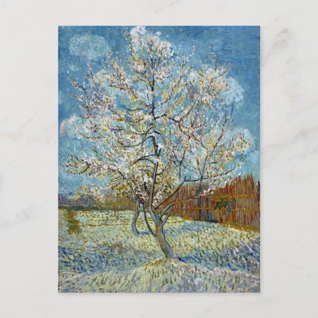 Carte Postale Vincent van Gogh Le Peach Tree Rose (Devant)