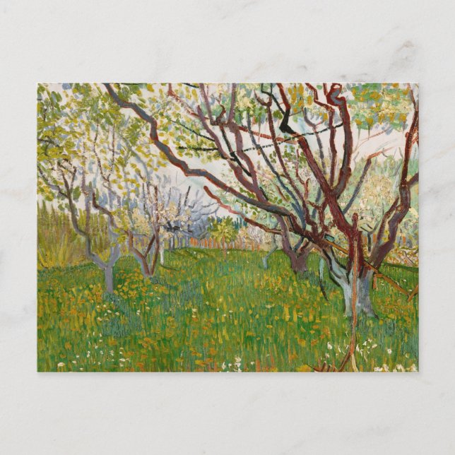 Carte Postale Vincent van Gogh - Le verger en fleurs (Devant)