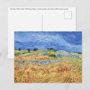 Carte Postale Vincent van Gogh - Les champs / Plaine à Auvers