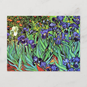 Carte Postale Vincent Van Gogh - Les Iris - Art Fin Amoureux des