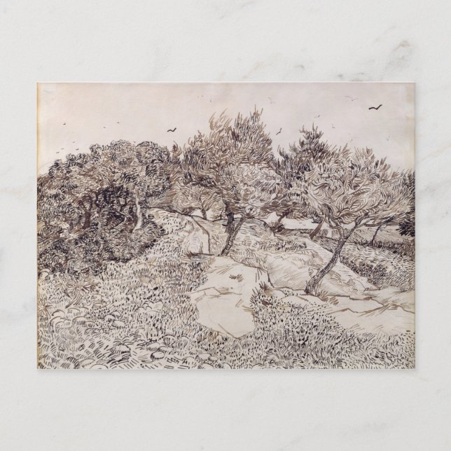 Carte Postale Vincent van Gogh | Les Oliviers (Devant)