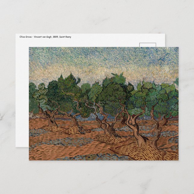 Carte Postale Vincent van Gogh - Olive Grove (Devant / Derrière)