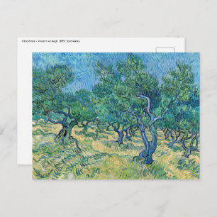 Carte Postale Vincent van Gogh - Olive Grove