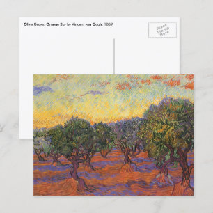Carte Postale Vincent van Gogh - Oliveraie, ciel orange