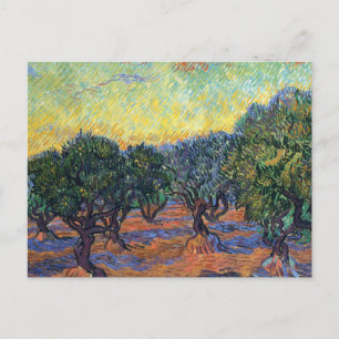 Carte Postale Vincent Van Gogh Oliveraie Impressionnisme Art