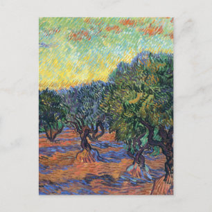 Carte Postale Vincent Van Gogh Oliveraie Impressionnisme Art