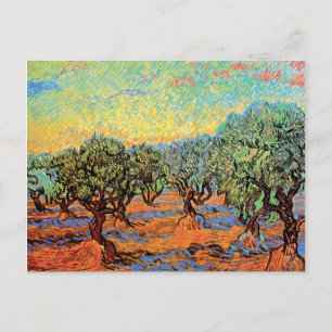 Carte Postale Vincent Van Gogh - Oliveraie sous un ciel orange