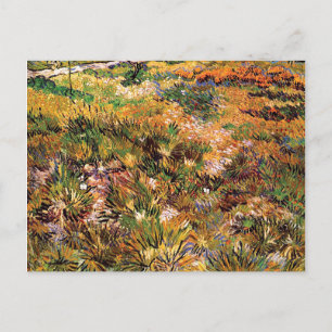 Carte Postale Vincent Van Gogh - Prairie dans le jardin Beaux-Ar