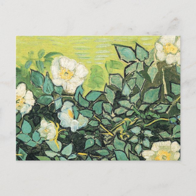 Carte Postale Vincent Van Gogh - Roses sauvages 1890 (Devant)