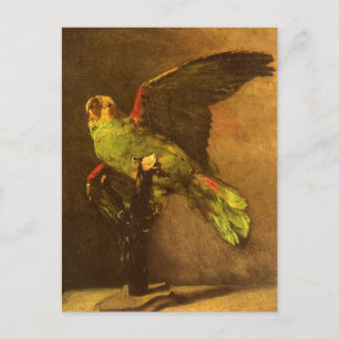 Carte Postale Vincent van Gogh - Vie morte avec perroquet vert