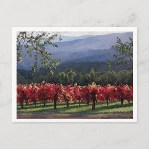 Carte Postale Vineyard