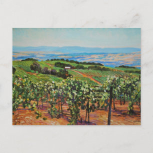 Carte postale Vineyard