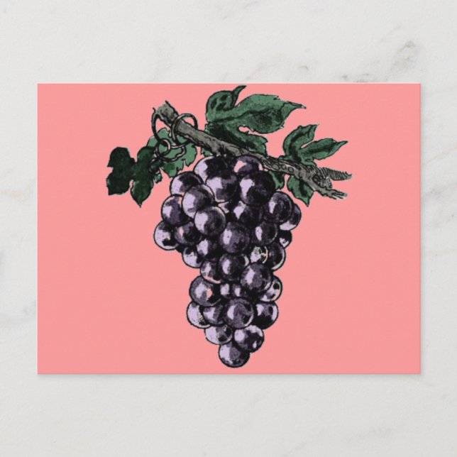 Carte postale Vins de raisin (Devant)