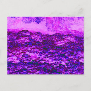 Carte Postale Vins Kudzu roses et violets