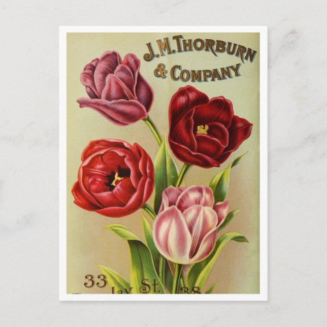 Carte postale vintage (Devant)