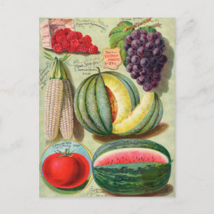Carte postale vintage