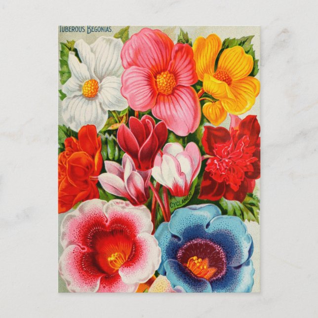 Carte postale vintage (Devant)