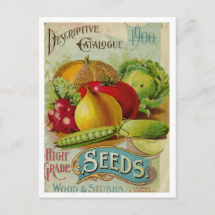 Carte postale vintage