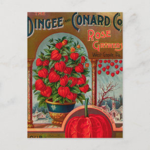 Carte postale vintage