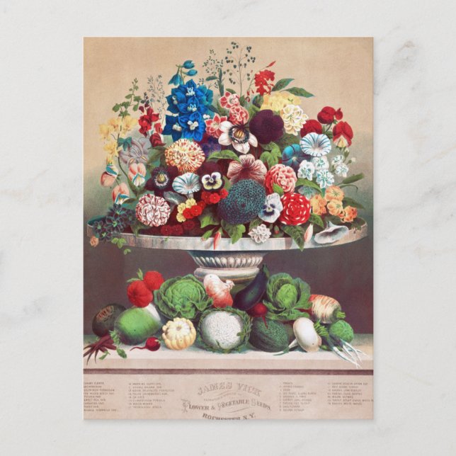 Carte postale vintage (Devant)