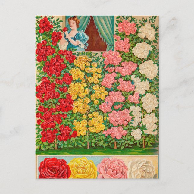 Carte postale vintage (Devant)