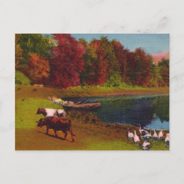 Carte postale Vintage (Devant)