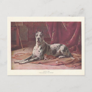 Carte Postale Vintage 1907 Illustration de Chien avec Chat