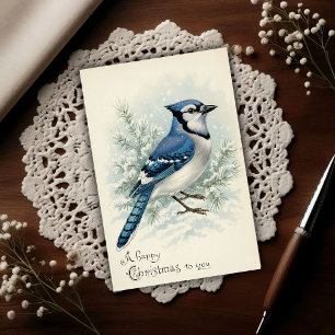 Carte Postale Vintage 1908 Geai Bleu Noël