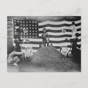 Carte postale vintage American Scenery