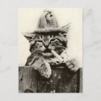 Vintage Antique Funny Nostalgie mignonne chat/chat