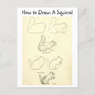 Carte Postale Vintage Apprenez à dessiner un écureuil et un tamb
