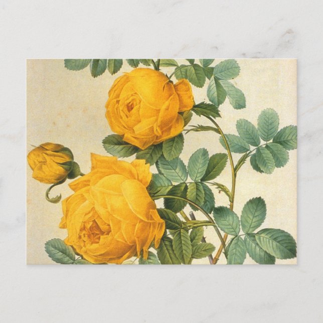 Carte postale vintage Art jaune Rose (Devant)