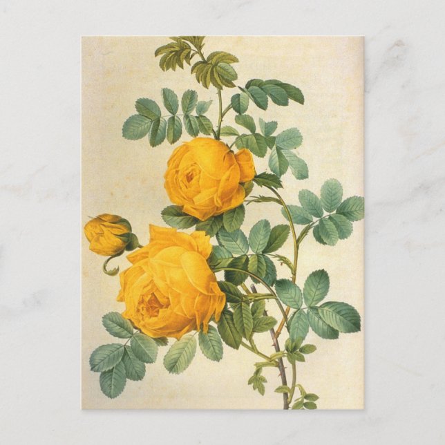 Carte postale vintage Art jaune Rose (Devant)