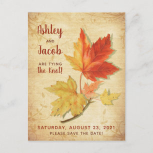 Carte Postale Vintage Automne Maple Feuilles mariage Enregistrer