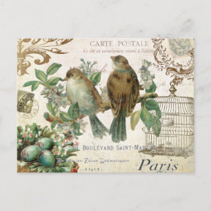 Carte postale vintage aux oiseaux français
