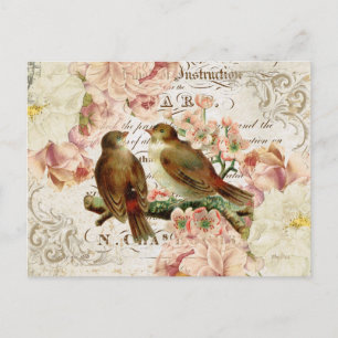 Carte postale vintage aux oiseaux français