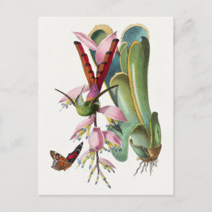 Carte postale vintage Birds Illustration