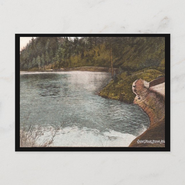 Carte Postale Vintage Black Hills (Devant)