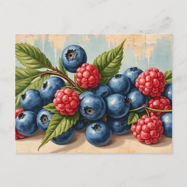 Carte Postale Vintage Blueberries and Raspberries  (Devant)