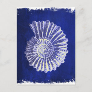 Carte Postale vintage botanique Côte Bleu Coquille blanche