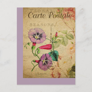 Carte Postale Vintage Botanique Français Post Card Morning Glory