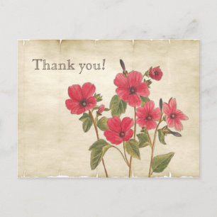 Carte Postale Vintage Botanique rose Fleur sauvage Merci