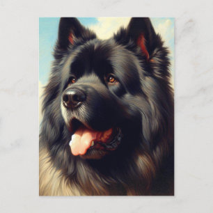 Carte Postale Vintage Bouvier des Flandres Peinture