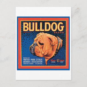 Carte Postale Vintage Bulldog Brand Crate Étiquette