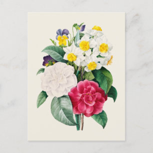 Carte Postale Vintage Camellia Narcissus et Fleurs de Pansy