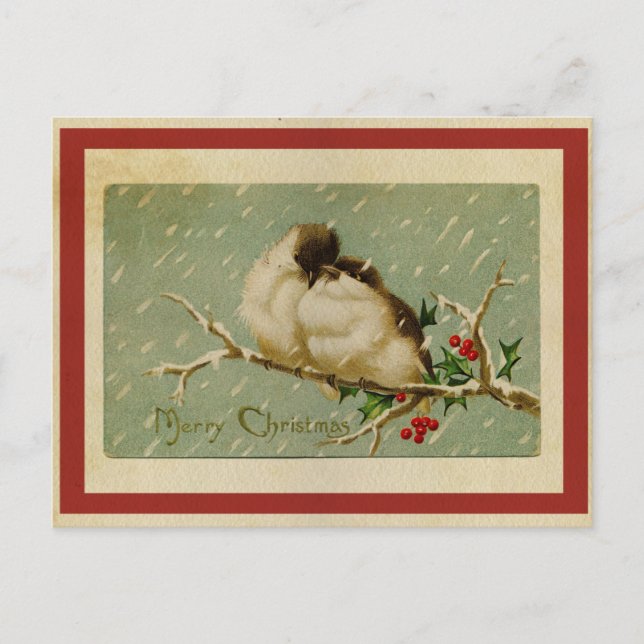 Carte Postale Vintage Christmas Lovebirds (Devant)
